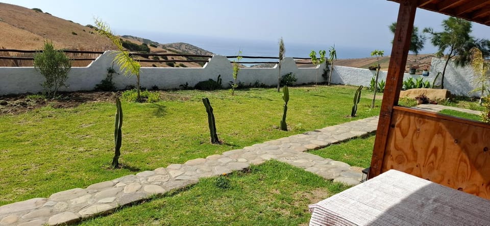 Patio, Spring, Day, Natural landscape, Garden, Garden view, Mountain view