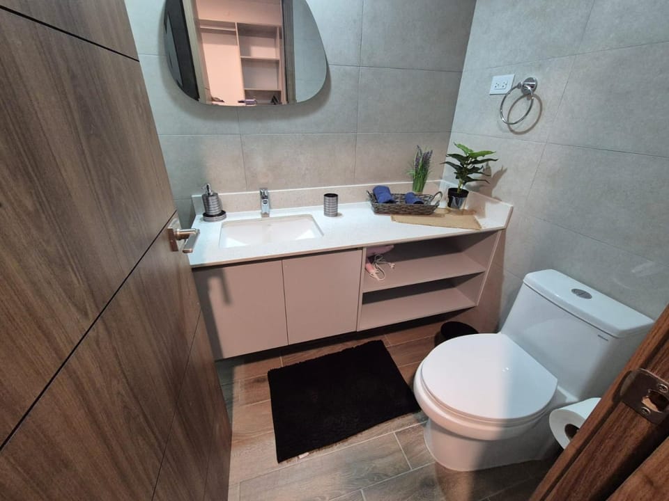 Toilet, Bathroom, towels