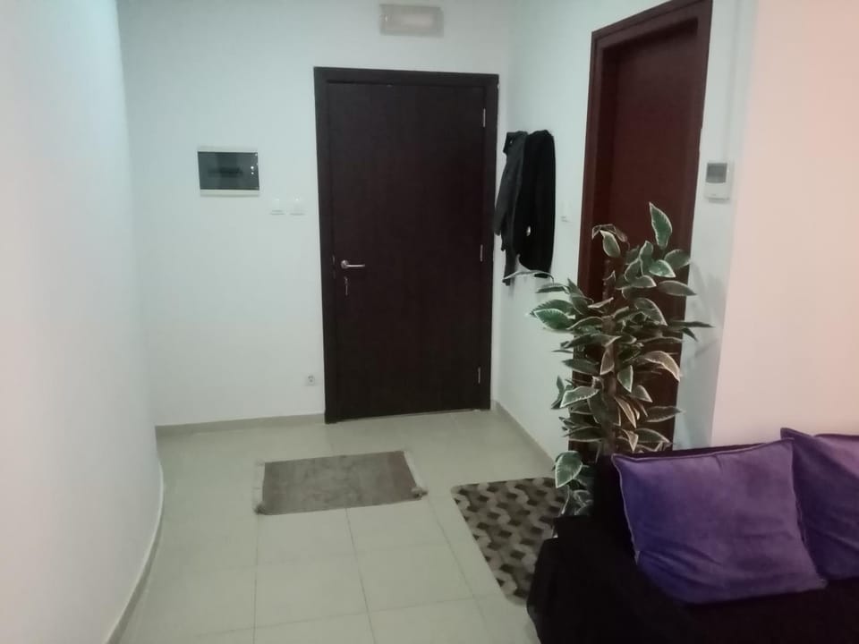 F2 bien situe Apartment in Oran
