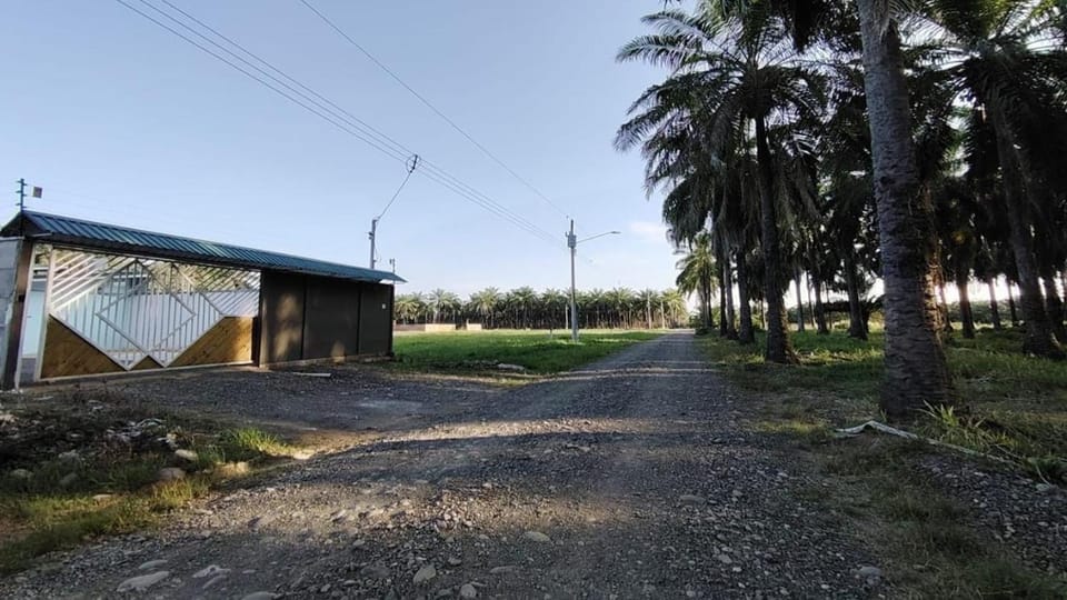 Property building, Natural landscape
