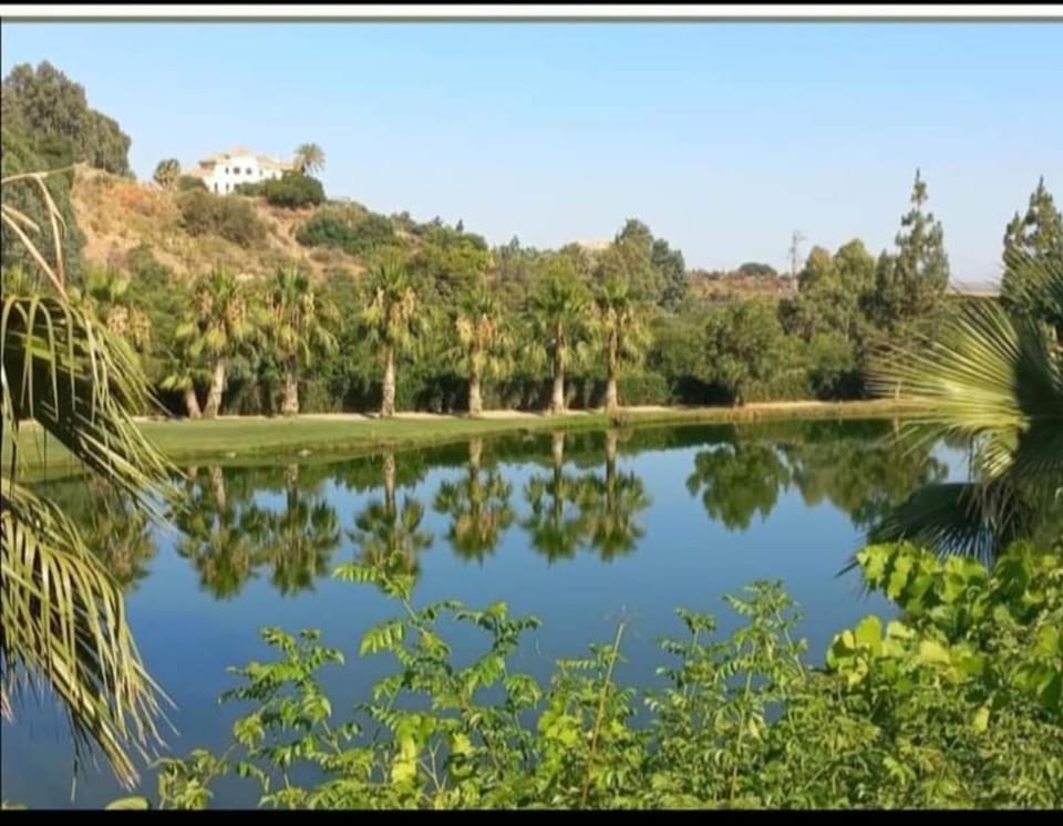 Single bedroom in Marbella Vacation rental in Marbella