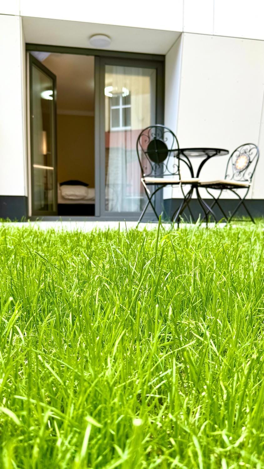 Natural landscape, Garden, Garden, Balcony/Terrace, Garden view