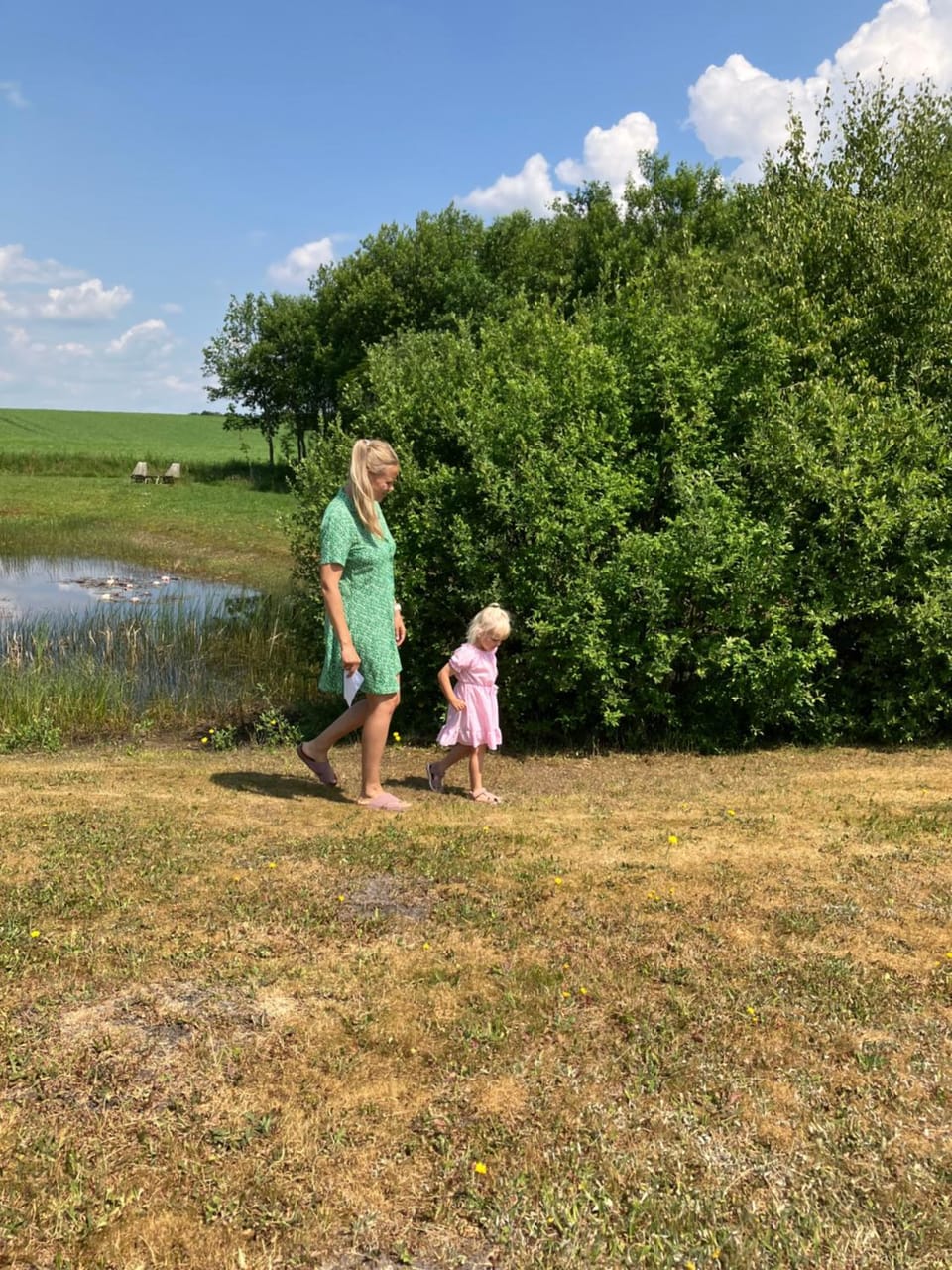 Natural landscape, Guests