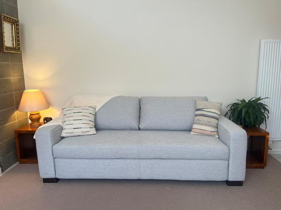 Hidden Gem on Hardie, Wanaka Apartment in Wanaka