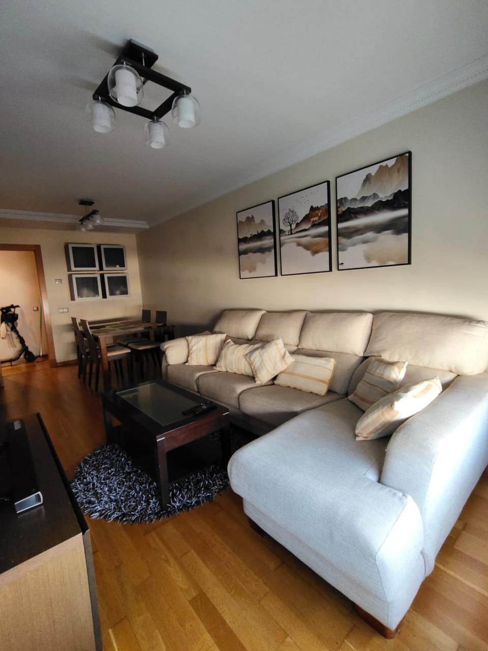 piso Ferreiros Apartment in Poio