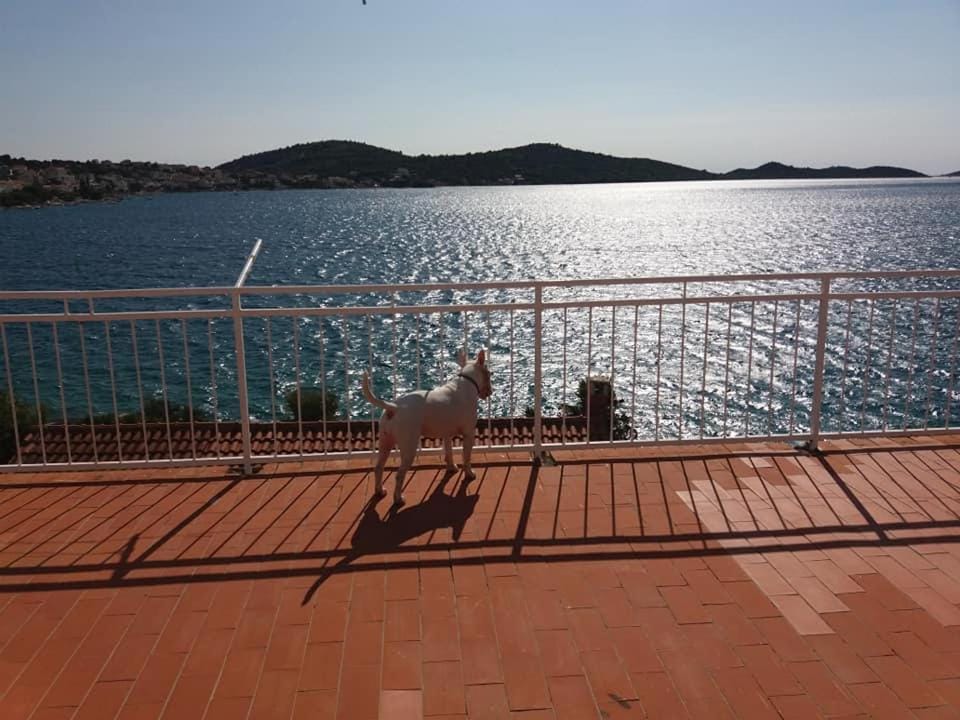 Balcony/Terrace, Pets, Sea view