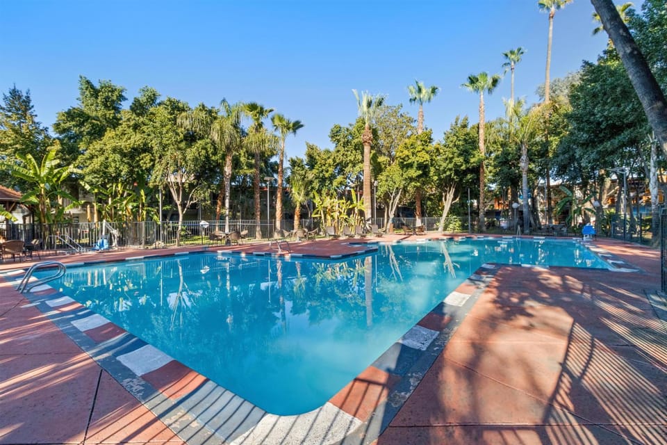 Pool view, Swimming pool