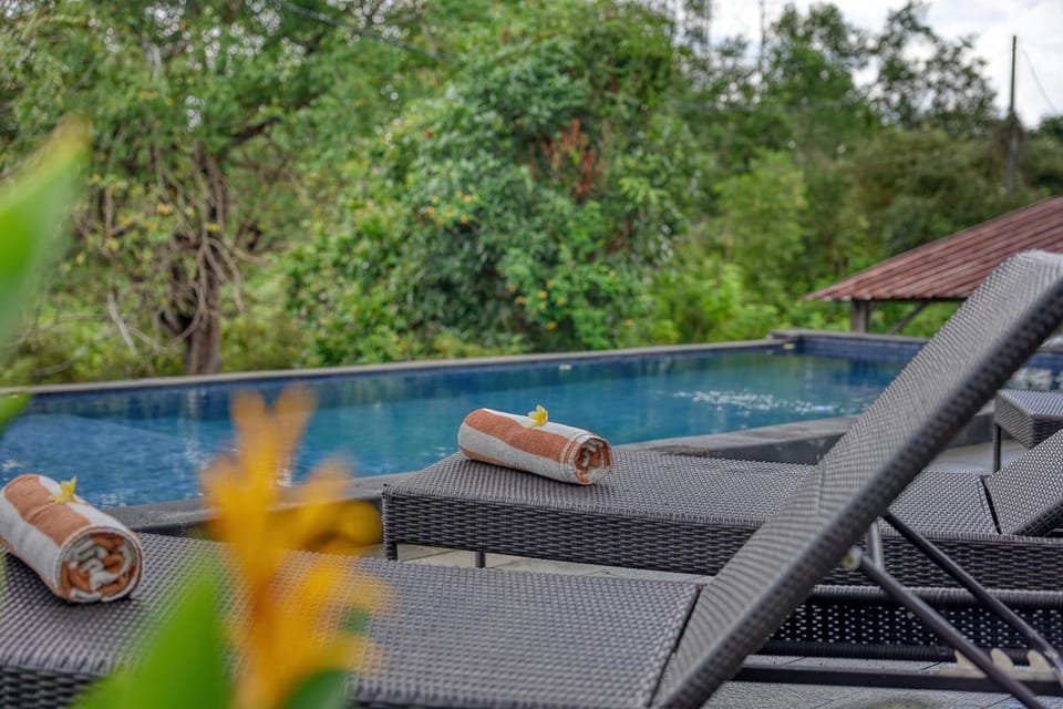 Natural landscape, Garden, Garden view, Pool view, Swimming pool, sunbed, towels