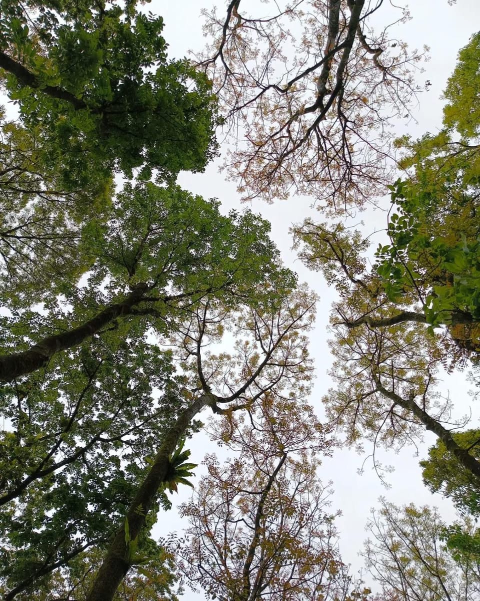 Natural landscape