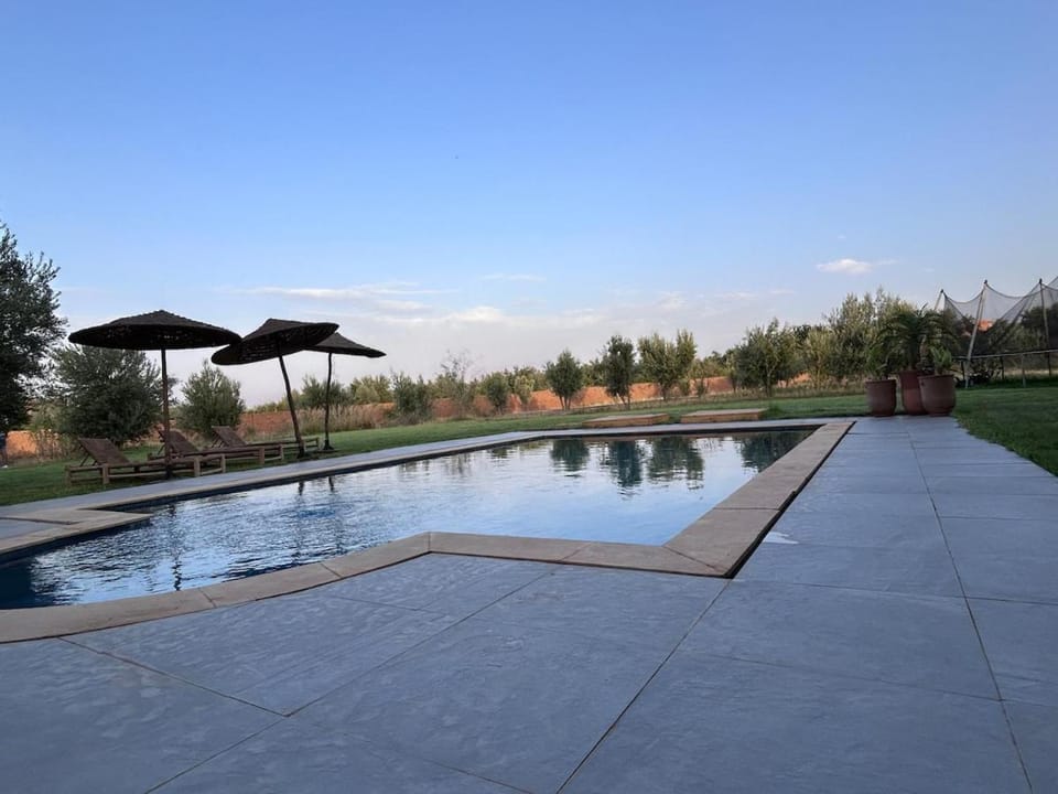 Garden, Swimming pool, sunbed