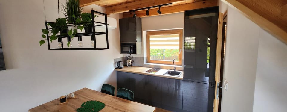Kitchen or kitchenette, oven, stove