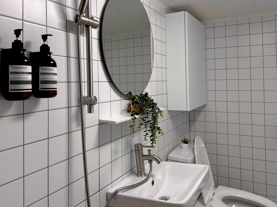 Shower, Toilet, Bathroom, Internal: Not applicable to any particular room