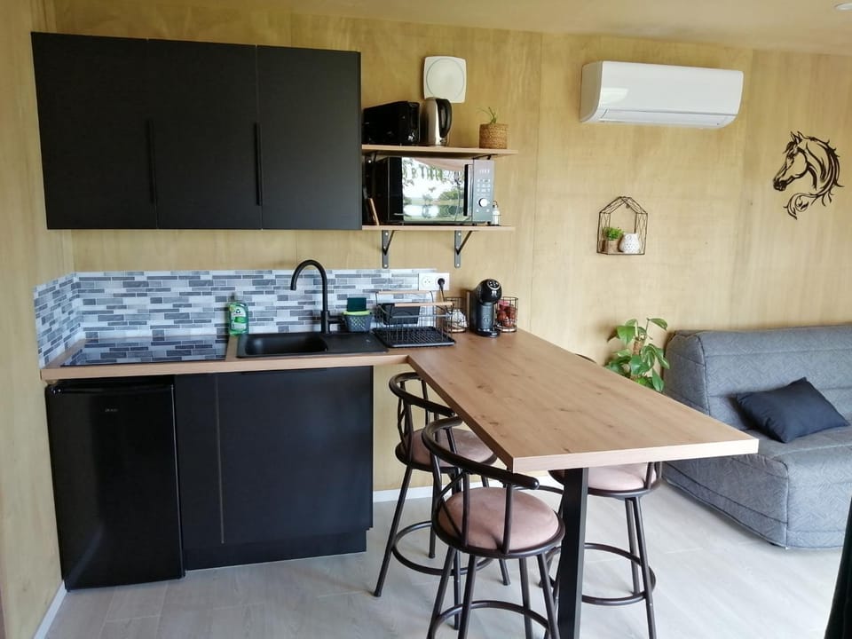 Kitchen or kitchenette, Dining area, stove, air conditioner