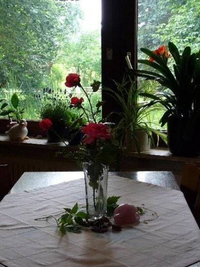 Garden view