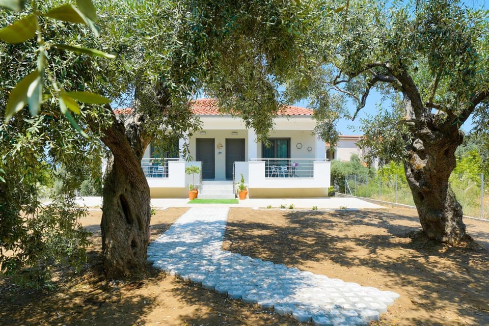 Property building, Day, Garden