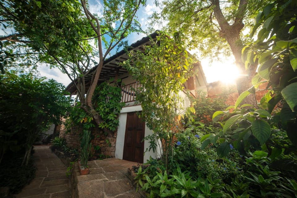 Garden view