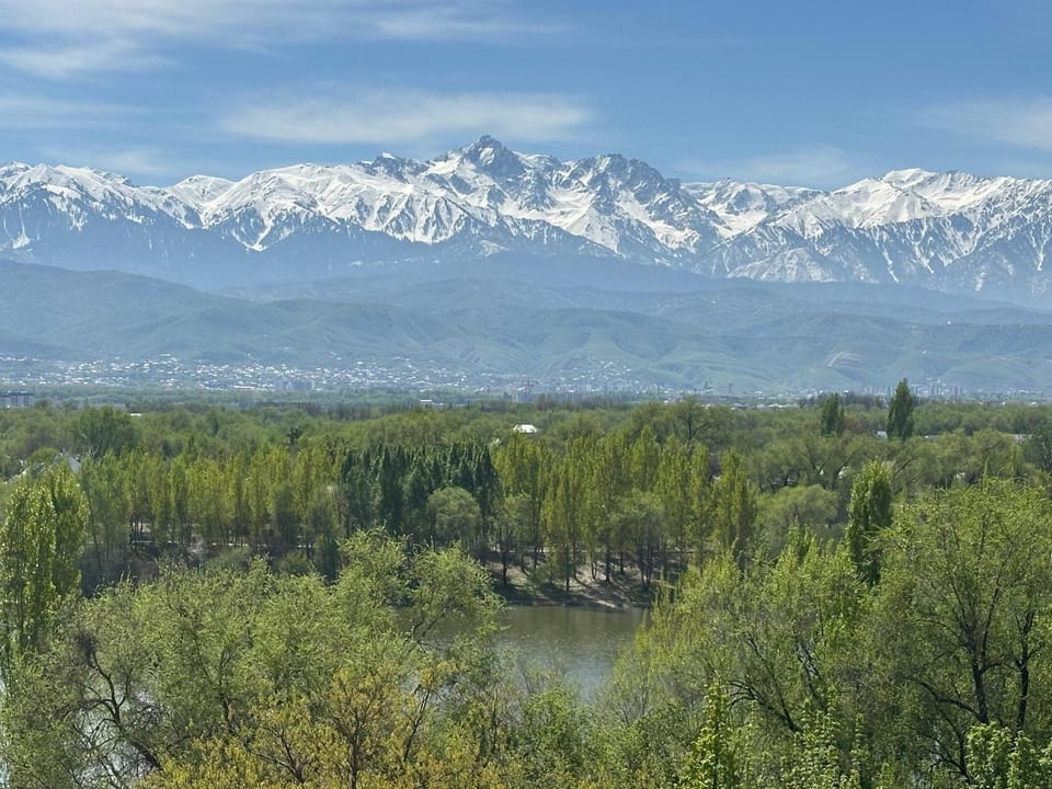 Mountain view