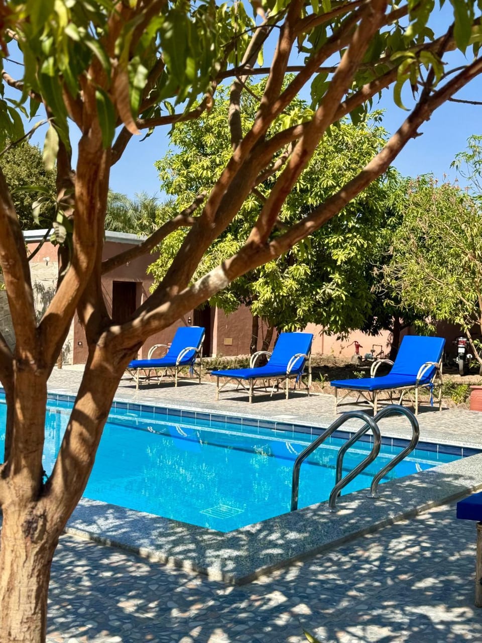 Pool view