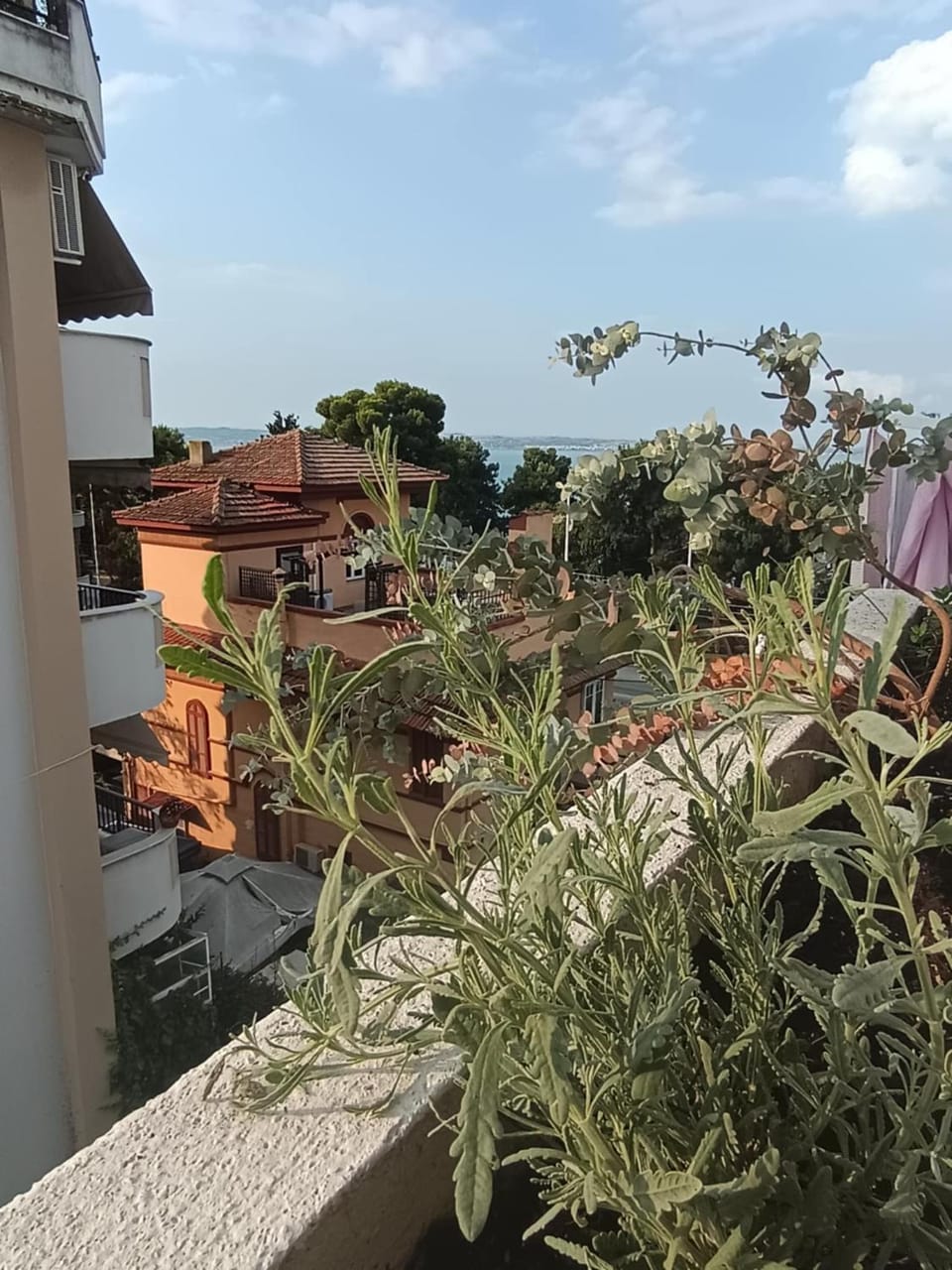 View (from property/room), Balcony/Terrace