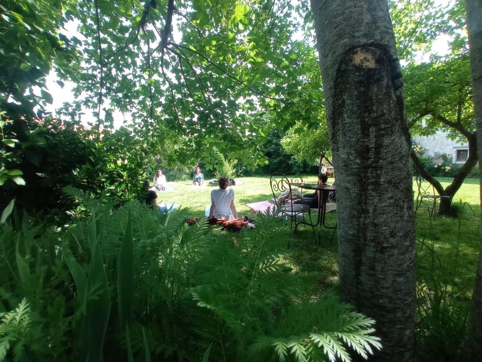 Natural landscape, Garden