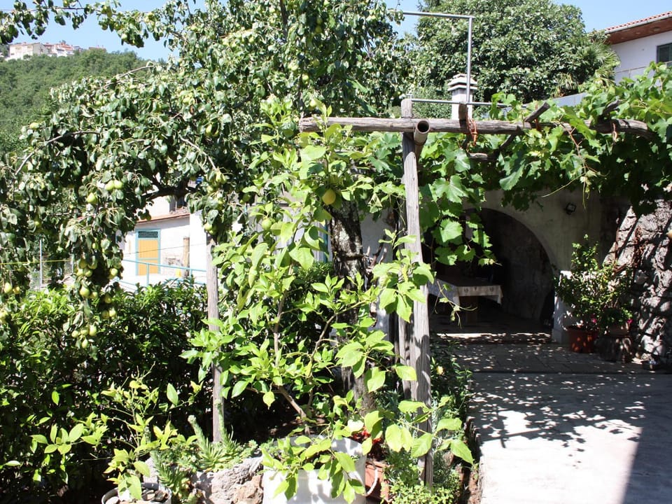 Natural landscape, Garden