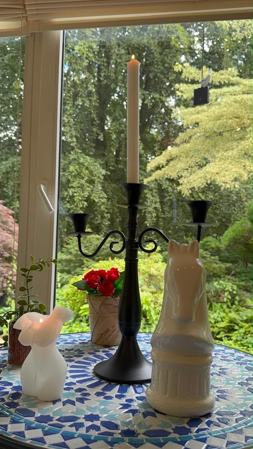 Le jardin secret pool and spa Apartment in Flanders