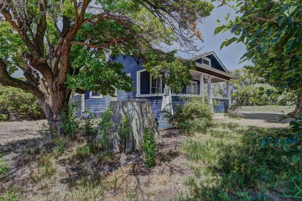 Property building, Garden view