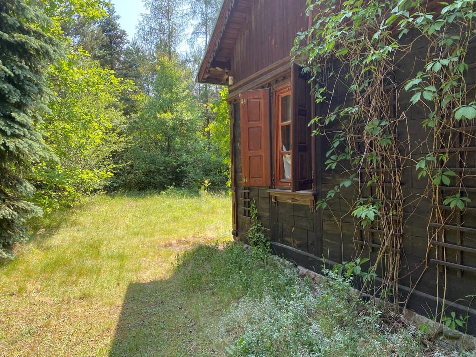 Chata w Mchu i Paprociach House in Masovian Voivodeship