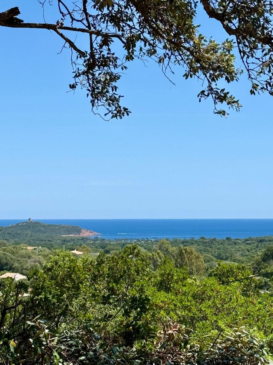 Sea view