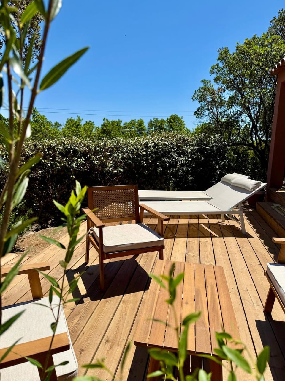 Patio, Garden, Living room, sunbed
