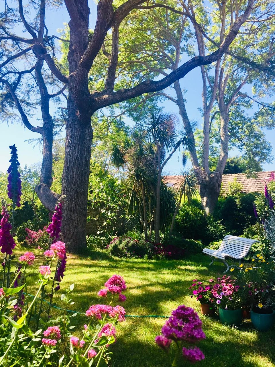 Les jardins du Tôt Bed and Breakfast in Normandy