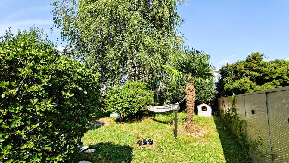 Garden, Garden, Garden view