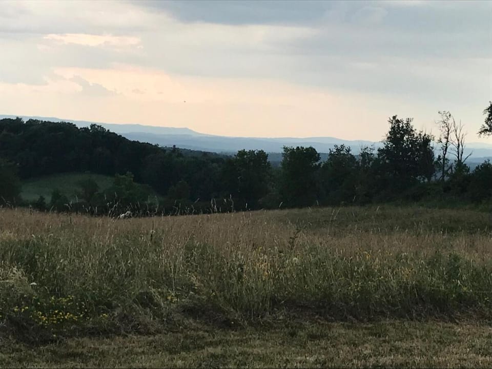 Natural landscape