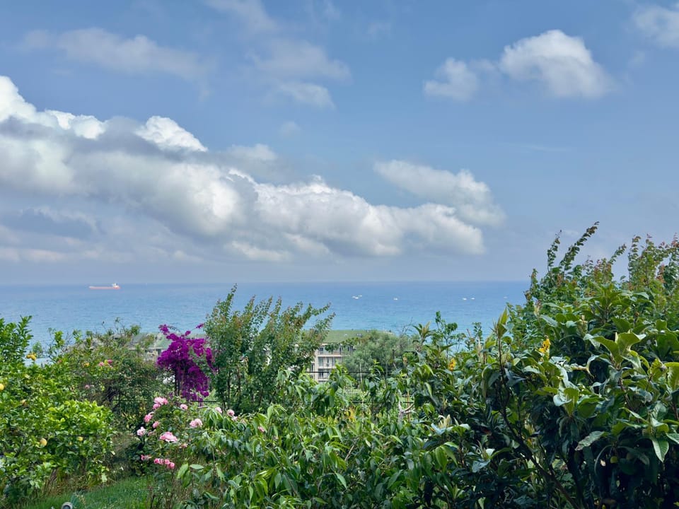 Balcony/Terrace, Sea view