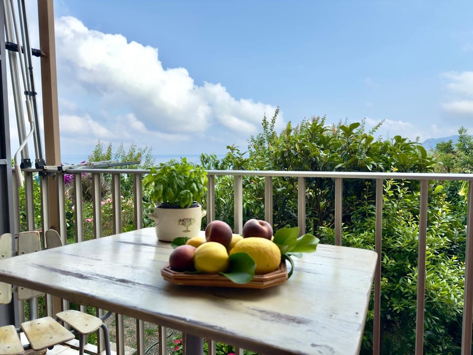 Balcony/Terrace, Sea view, furniture