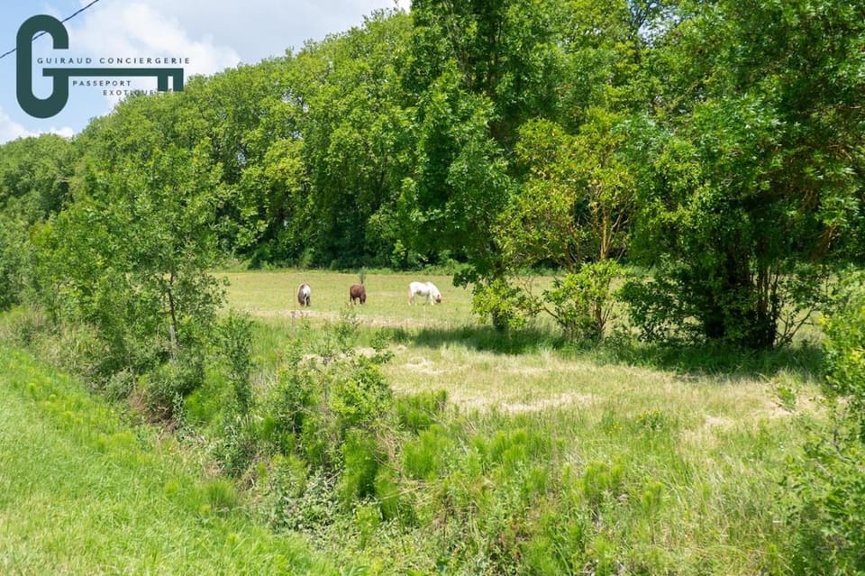 Séjour détente avec spa, piscine et sauna House in Occitanie