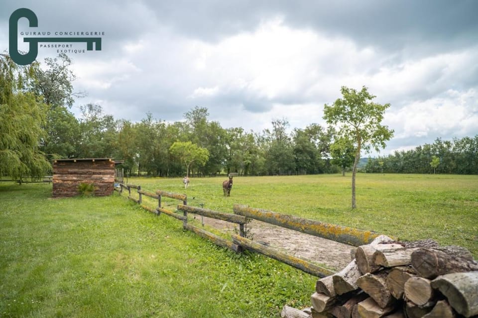 Séjour détente avec spa, piscine et sauna House in Occitanie