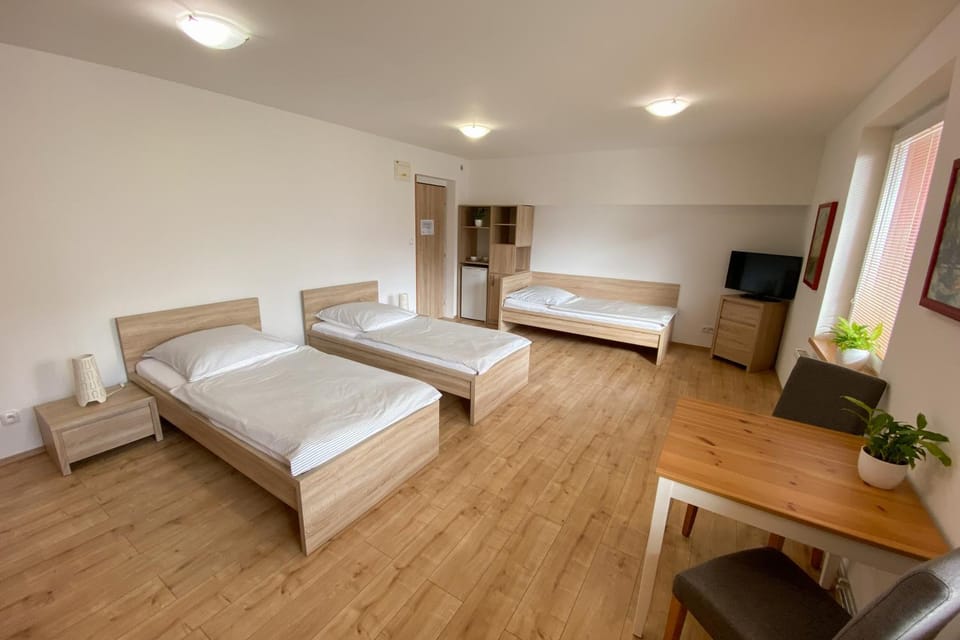 Penzion Staré Louny Bed and Breakfast in Saxony