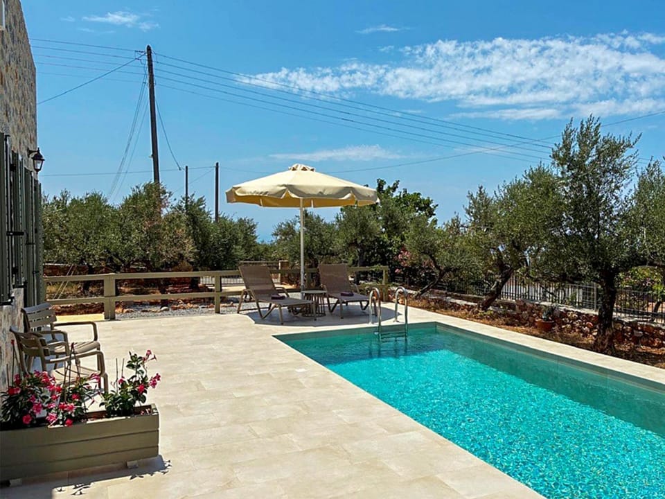Patio, Pool view, Swimming pool, sunbed