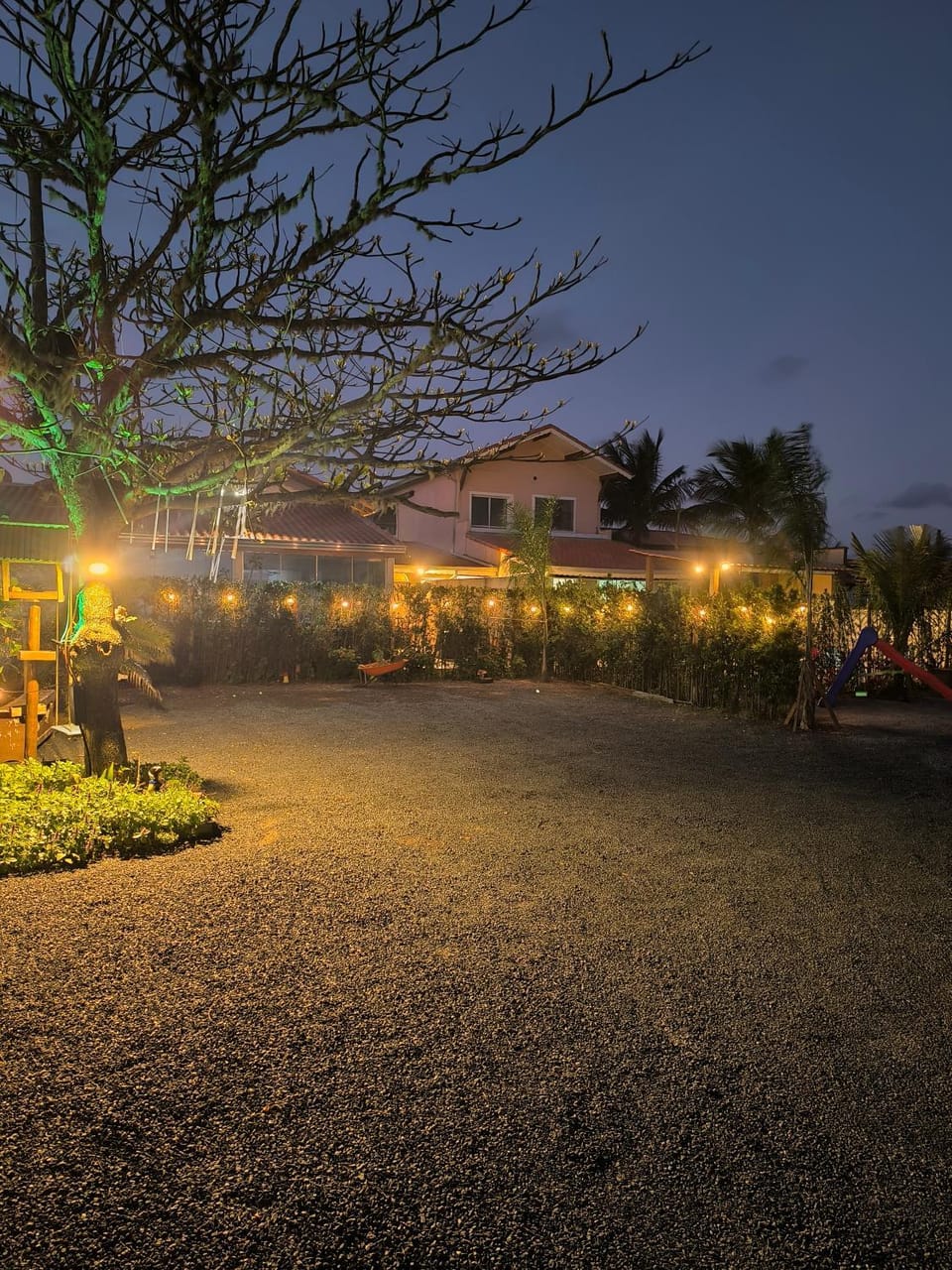 Night, Garden, Garden view