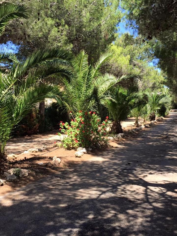Camping Cala dei Ginepri Campground/ 
RV Resort in Province of Taranto