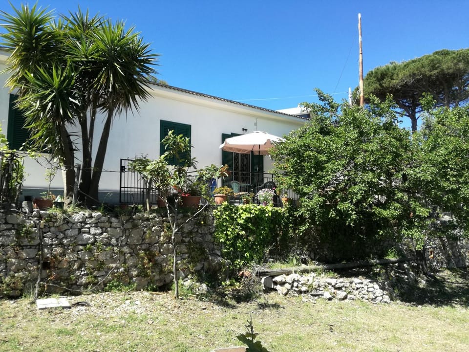 Facade/entrance, Garden, Balcony/Terrace, Floor plan