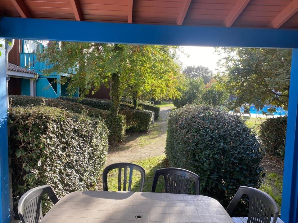 Garden view