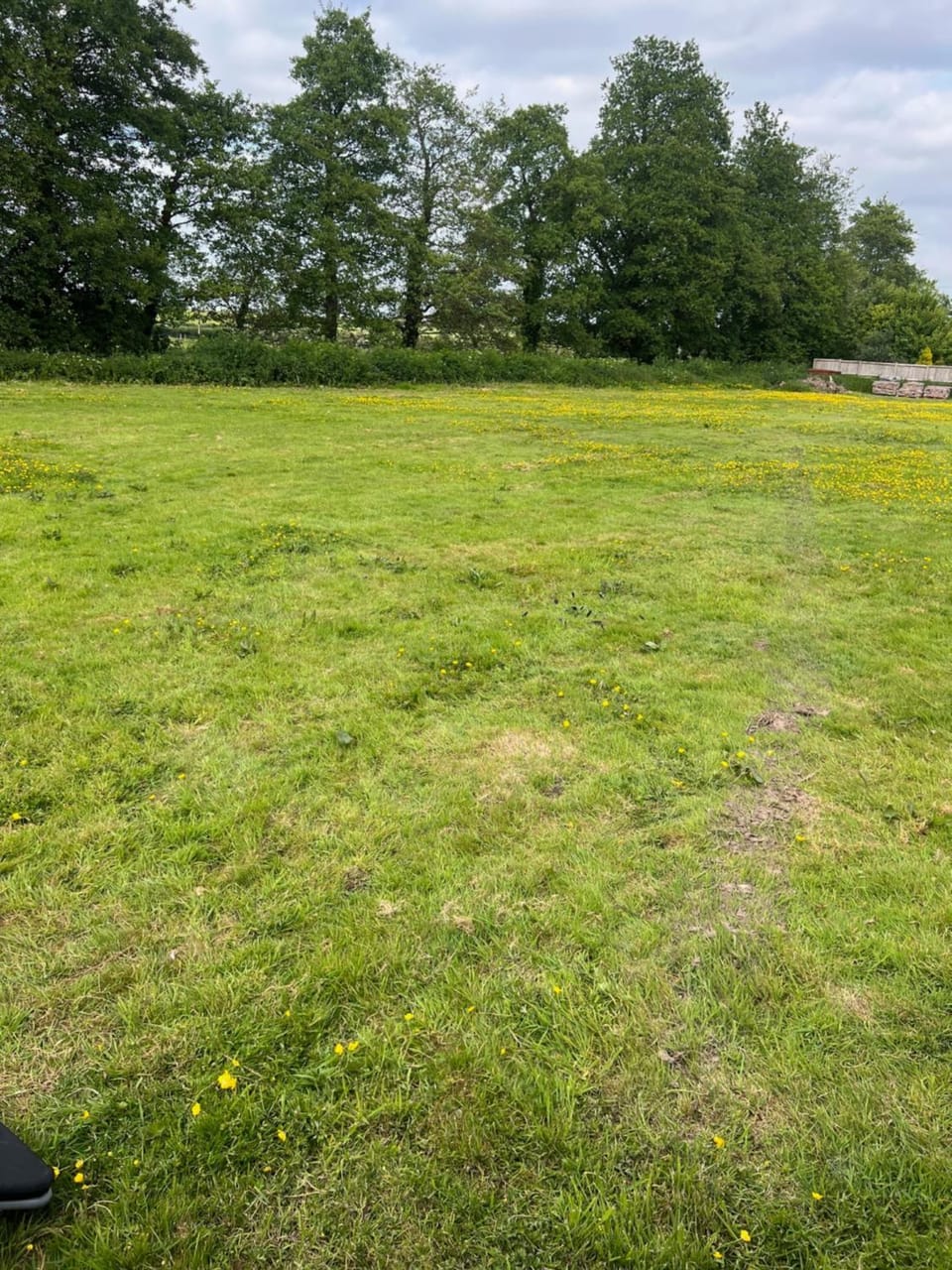 Redwoods Retro Caravans Campground/ 
RV Resort in Purbeck District