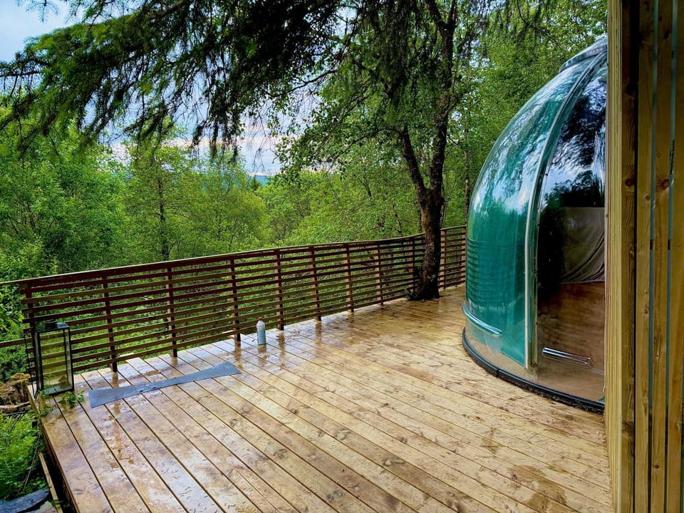Nature GreenDome Apartment in Bergen
