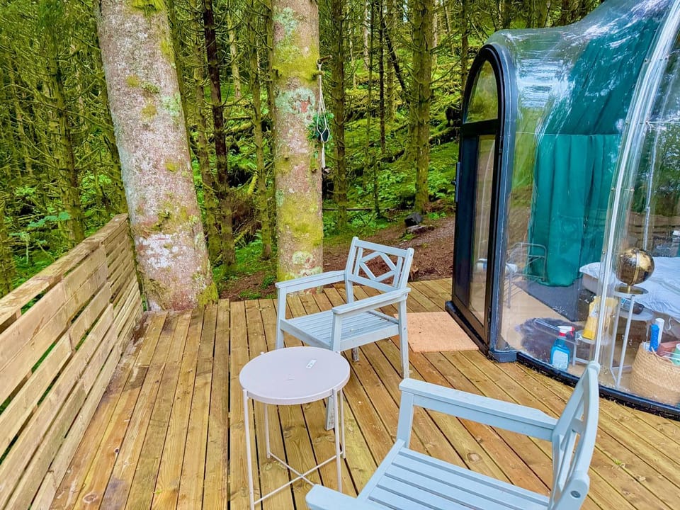 Nature GreenDome Apartment in Bergen