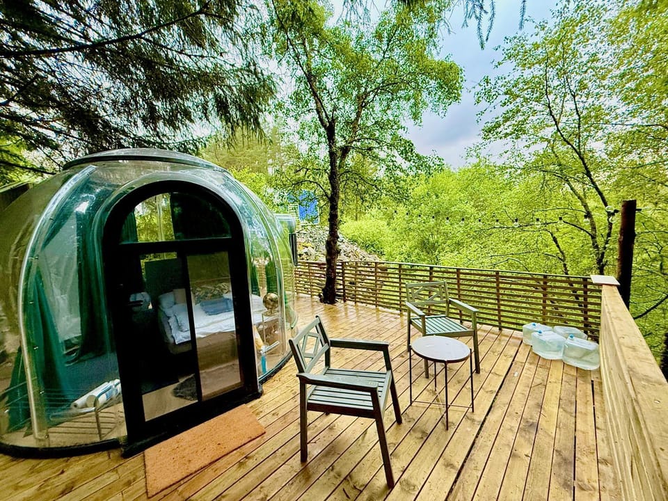 Nature GreenDome Apartment in Bergen