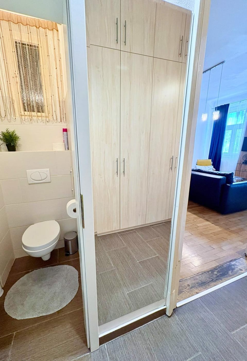 Toilet, Living room, Photo of the whole room, wardrobe