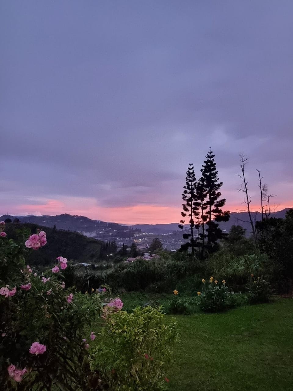 NKL Homestay Kundasang Villa in Sabah