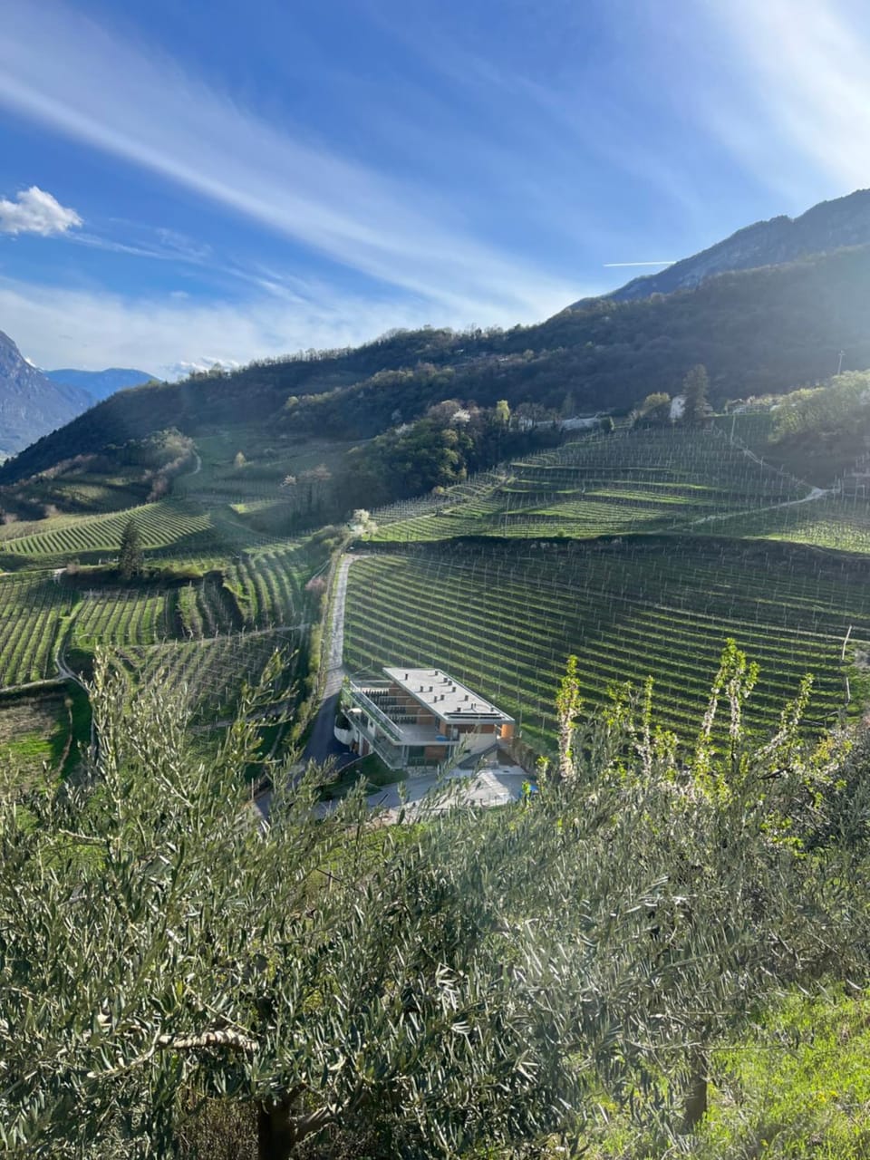 Property building, Natural landscape